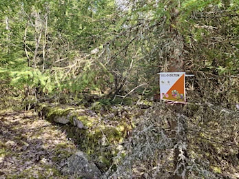 Lill-O-Dilten, post 11-20 på Romstjernkartet finner du nå i skogen